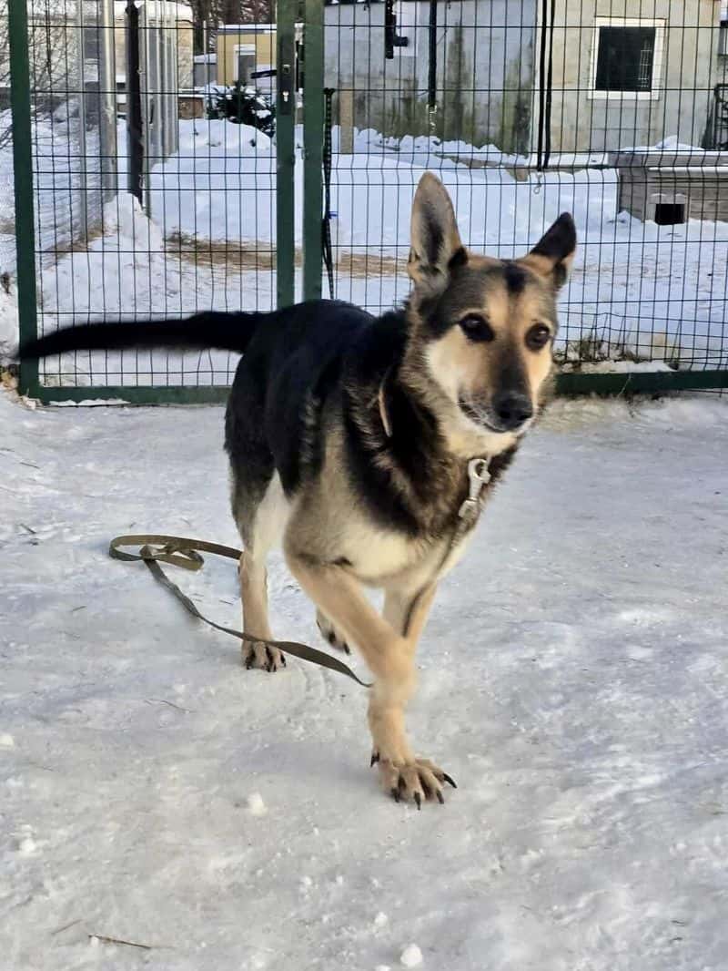 Balu