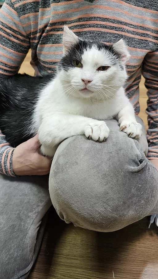 Dūkšta