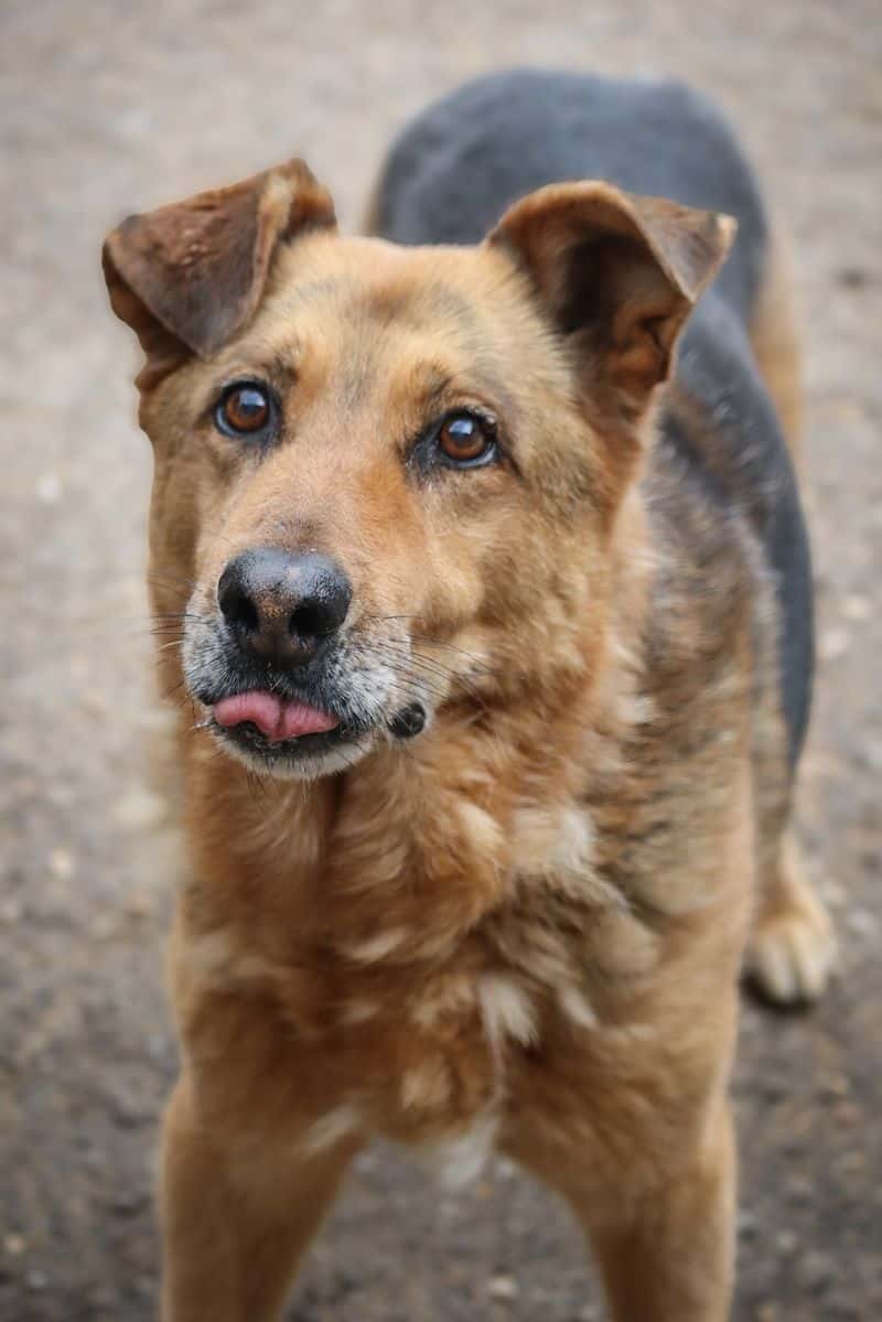 Bilbo