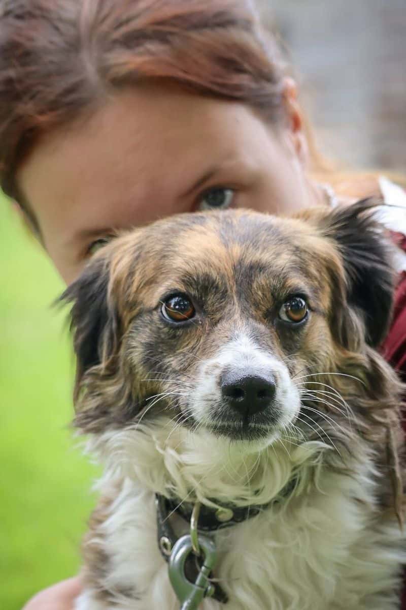 Mia