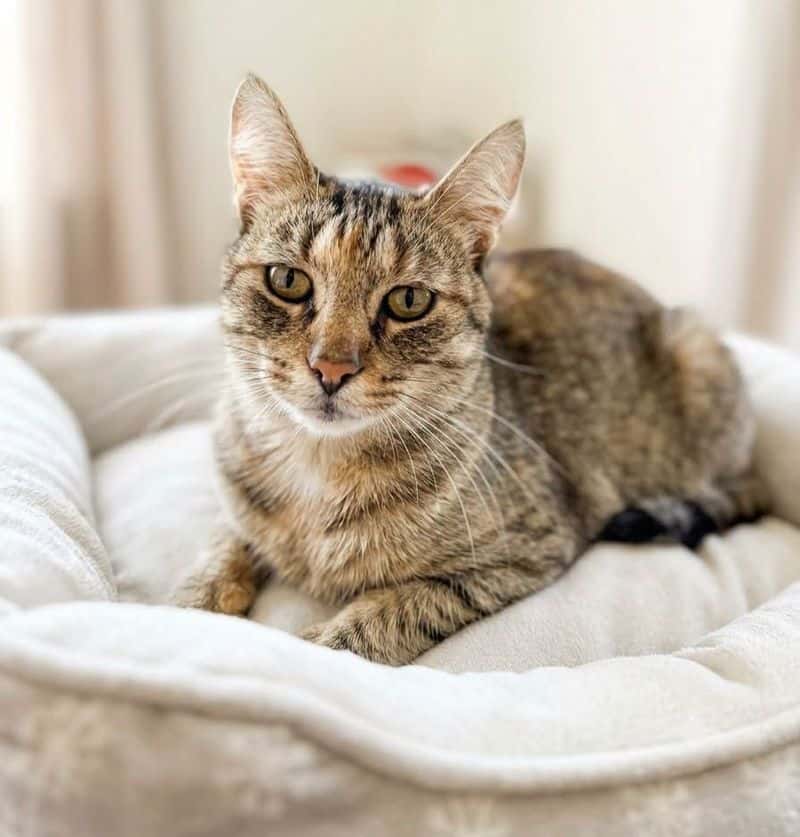 Tina