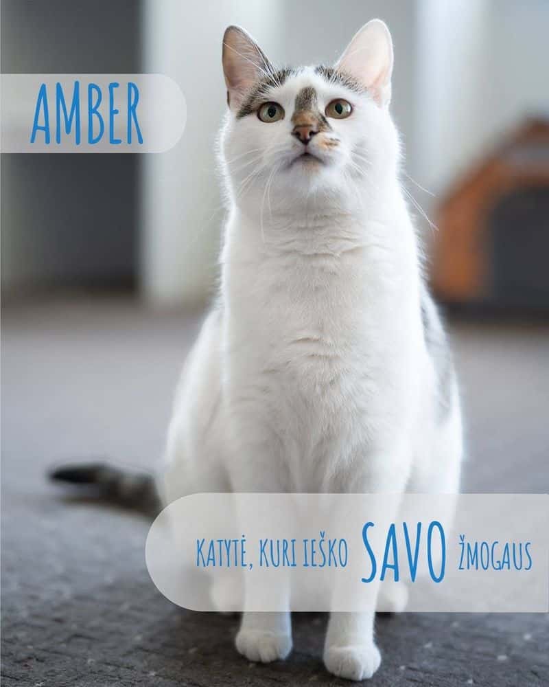 Amber