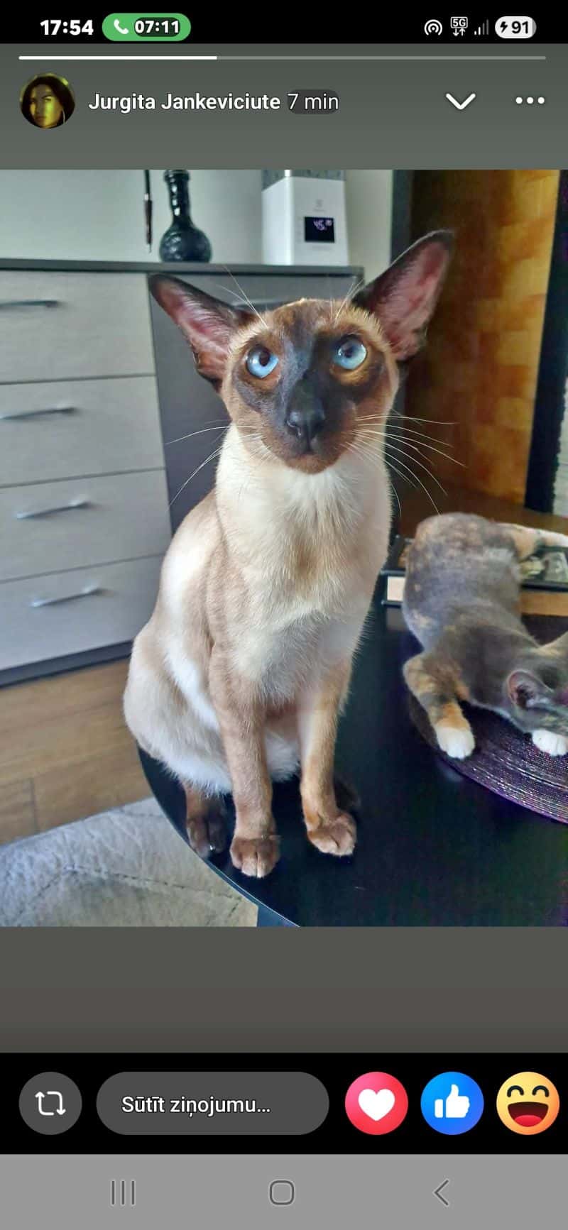 Katė