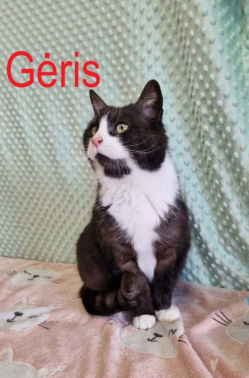 Gėris
