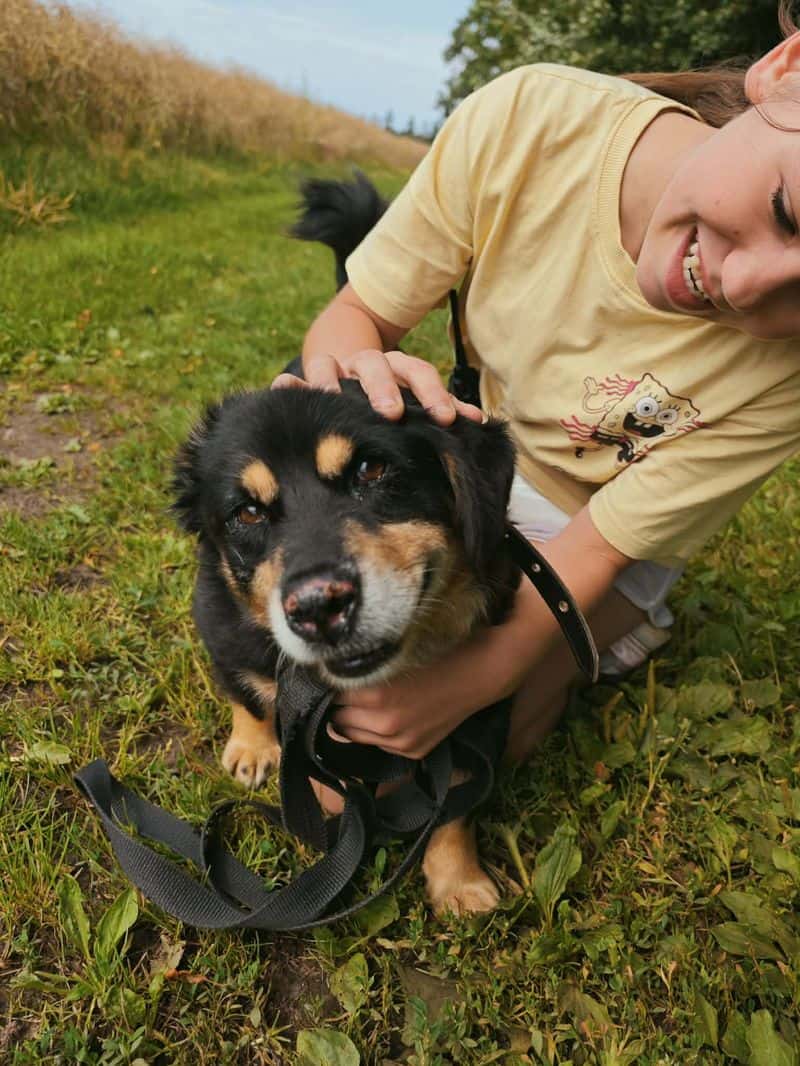 Lakutis