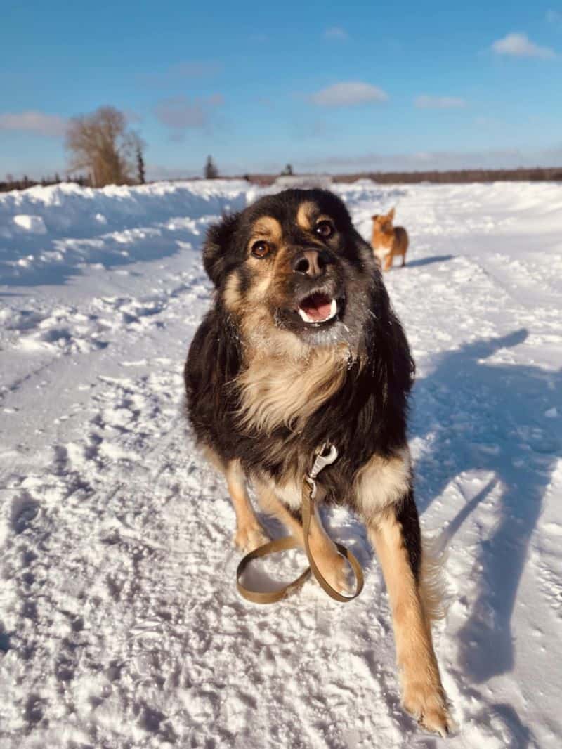 ZUKO