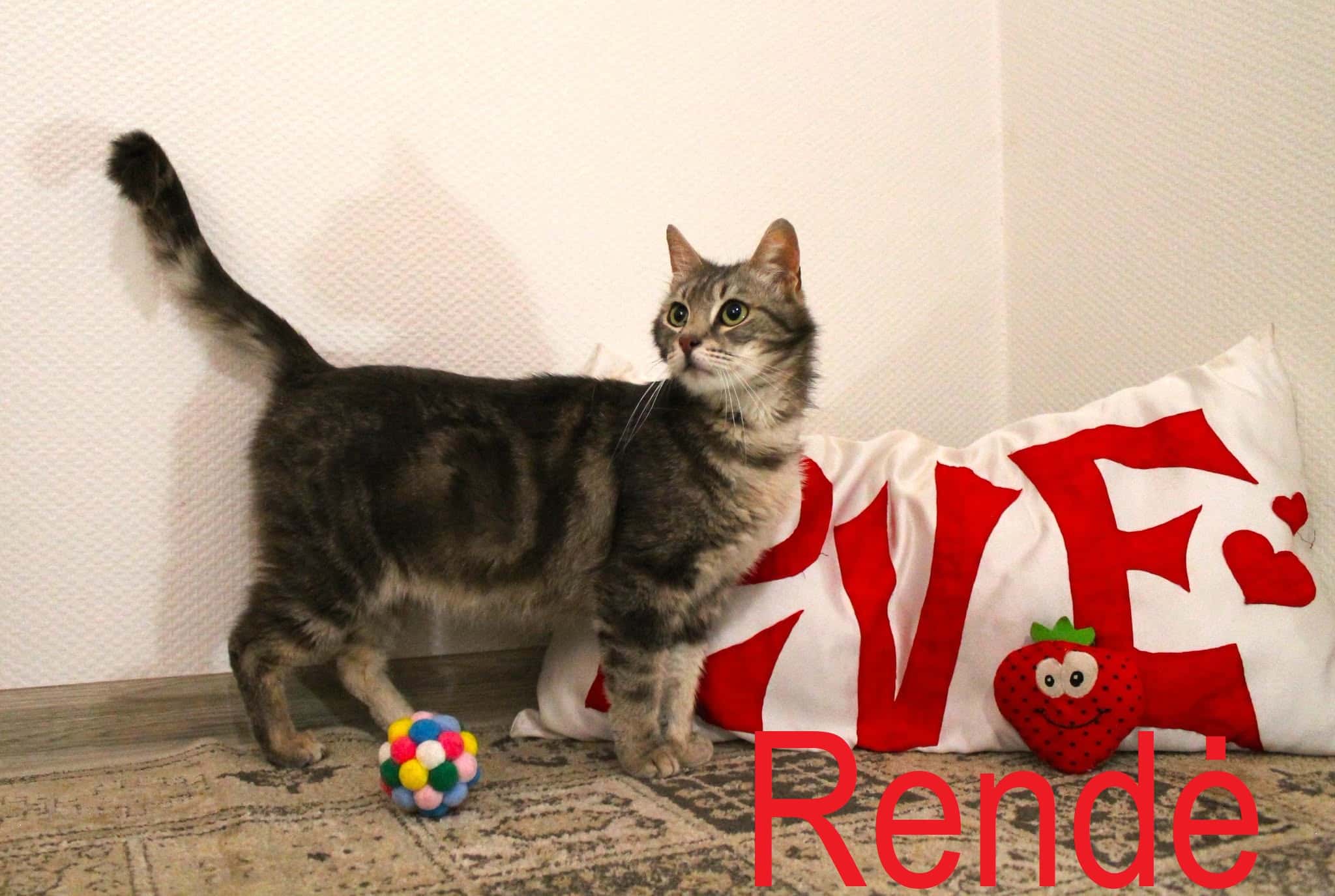 Rendė