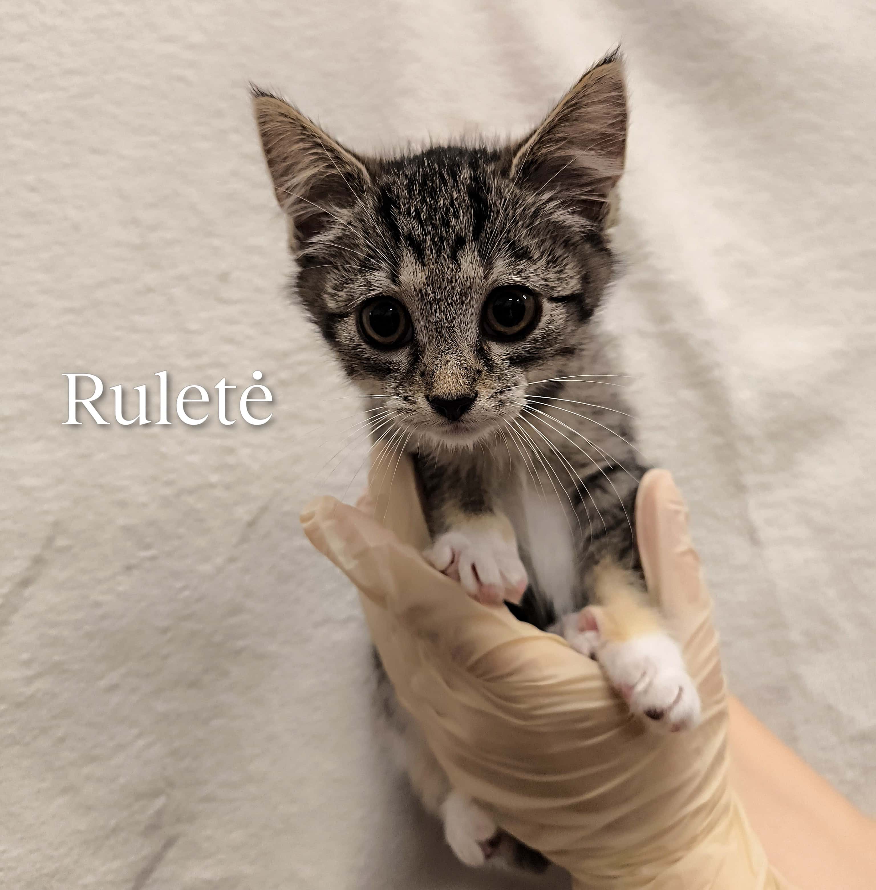 Ruletė