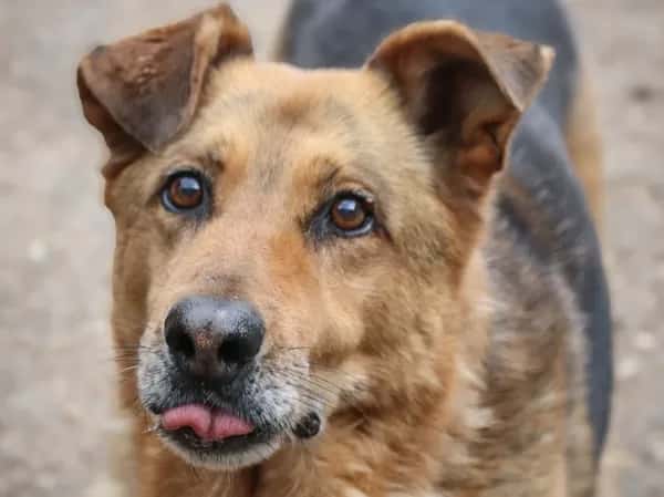 Bilbo