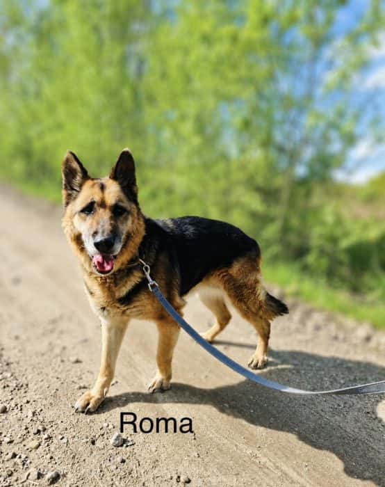 Roma
