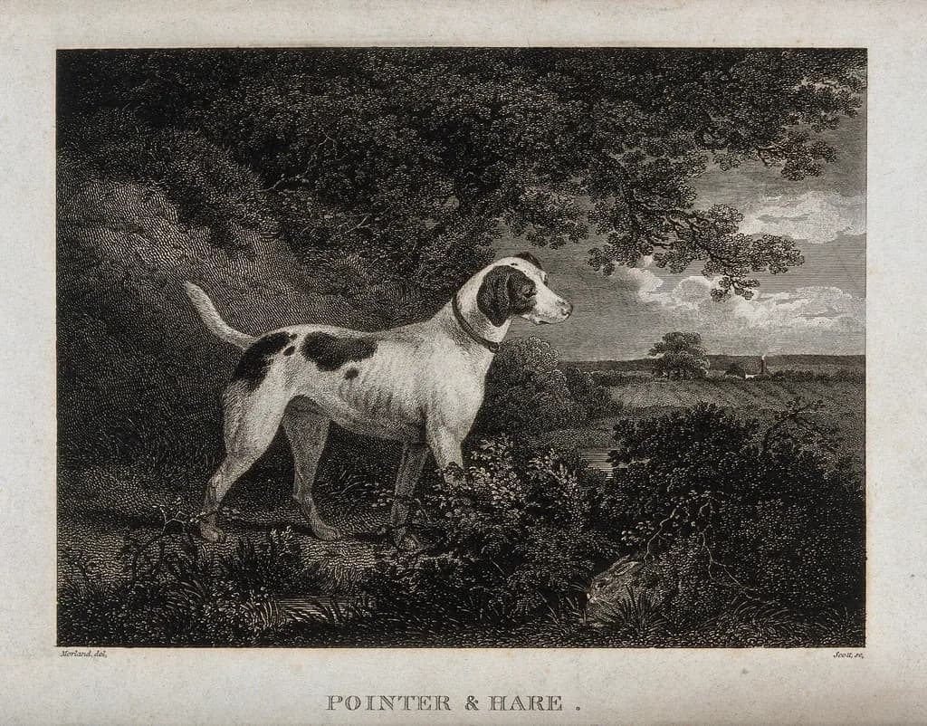 Pointer