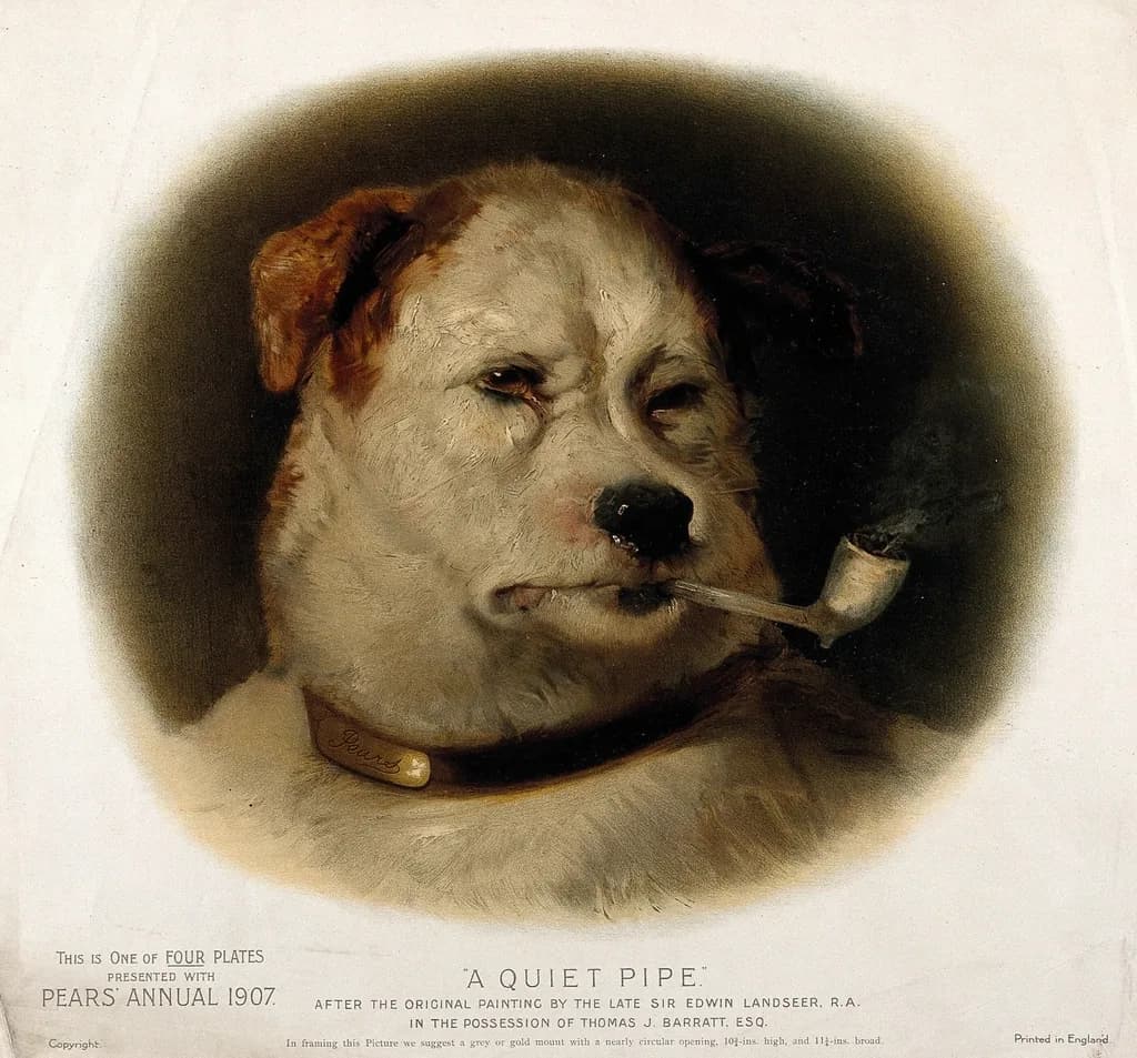 Landseer