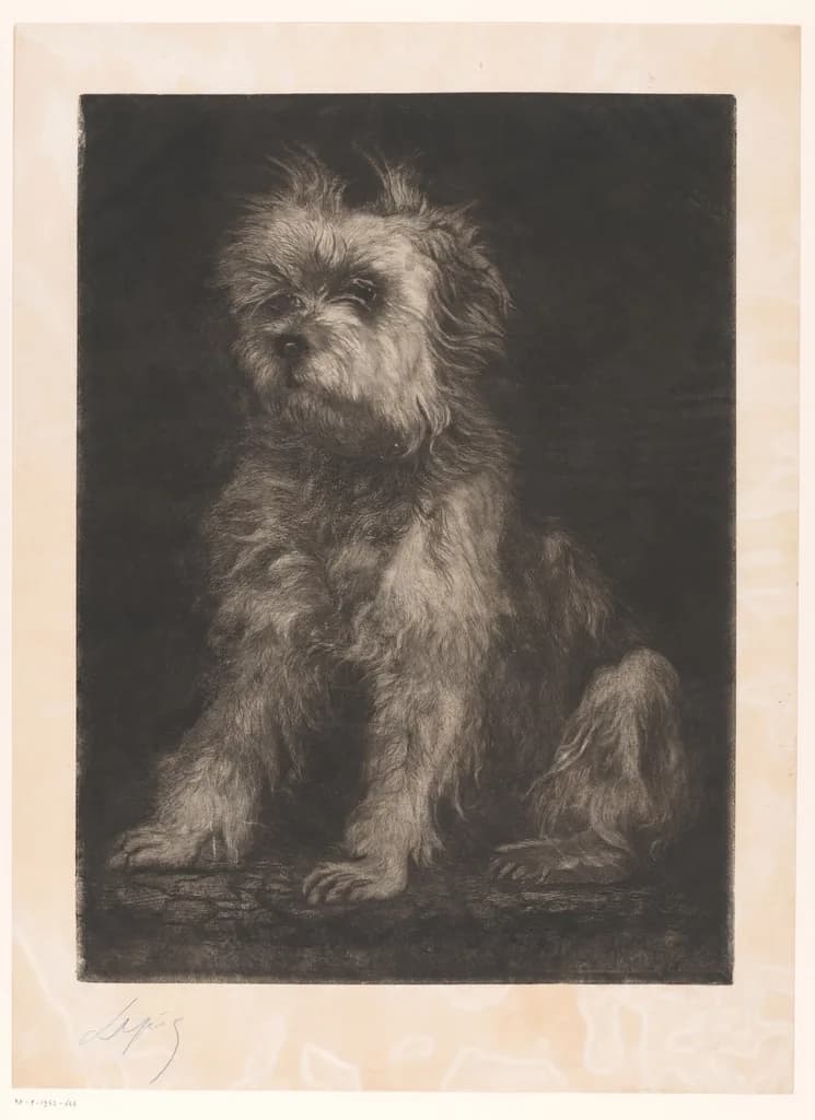 Cairn Terrier