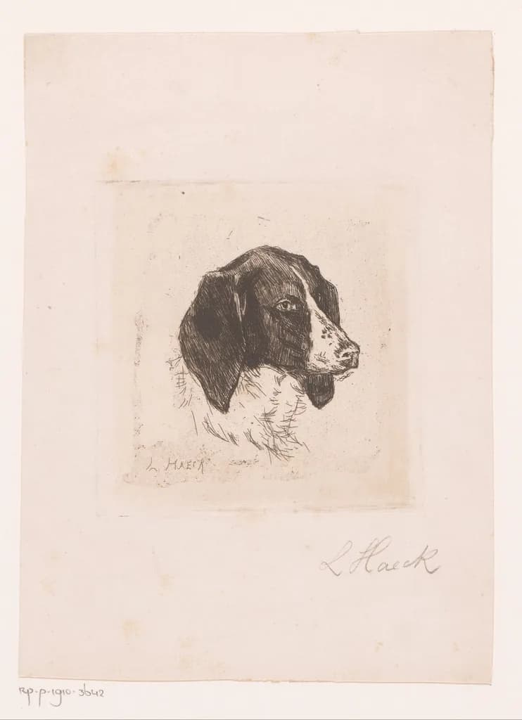 English Springer Spaniel