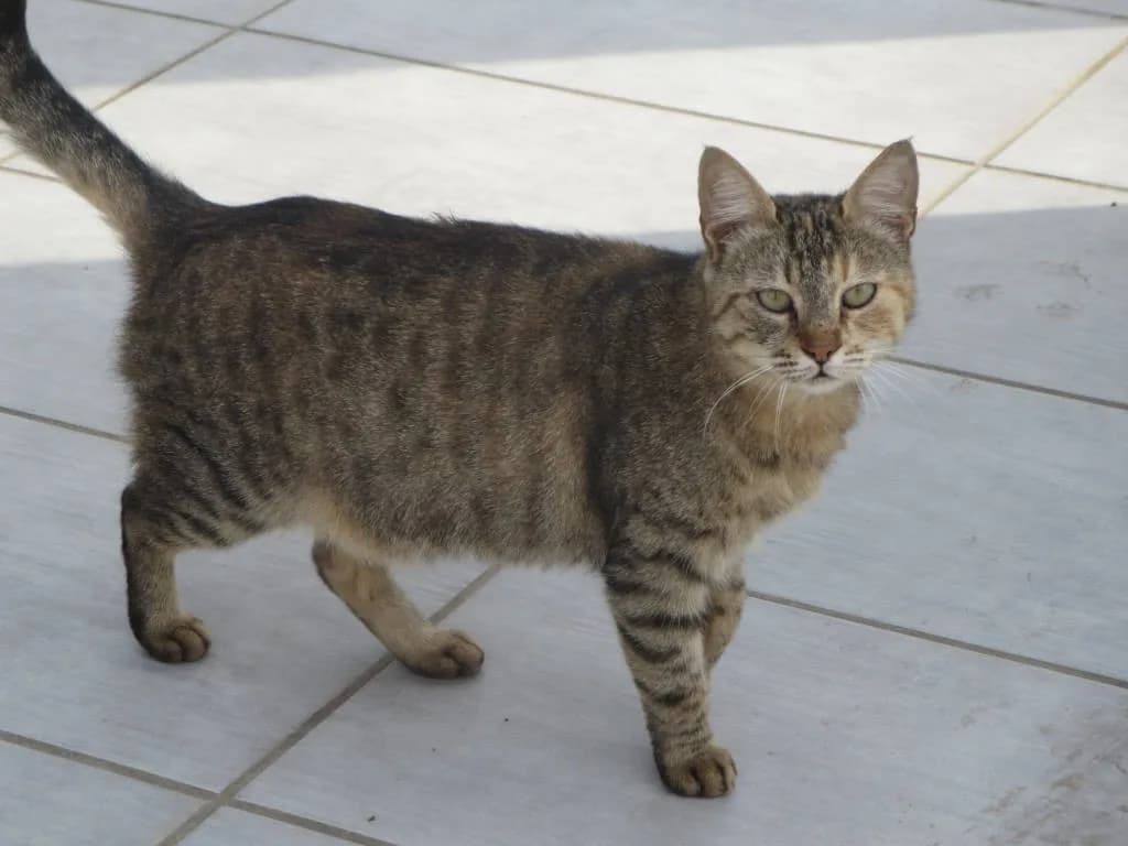 Cyprus