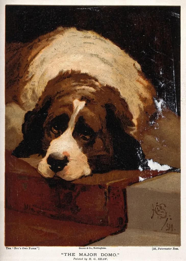 Saint Bernard