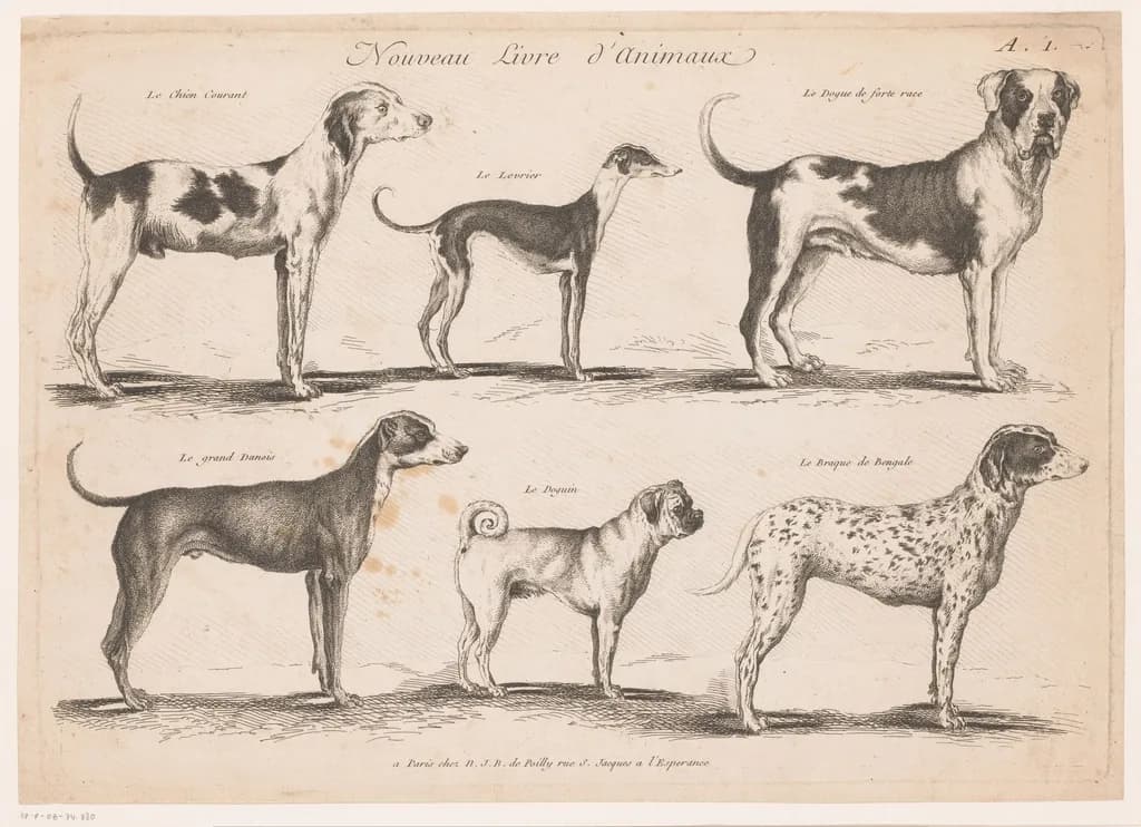 Pointer
