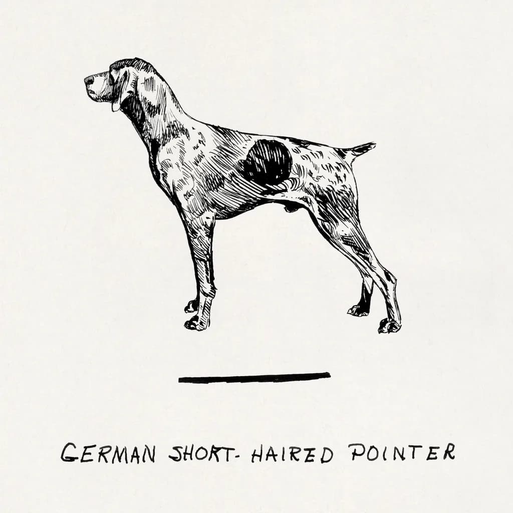 Pointer