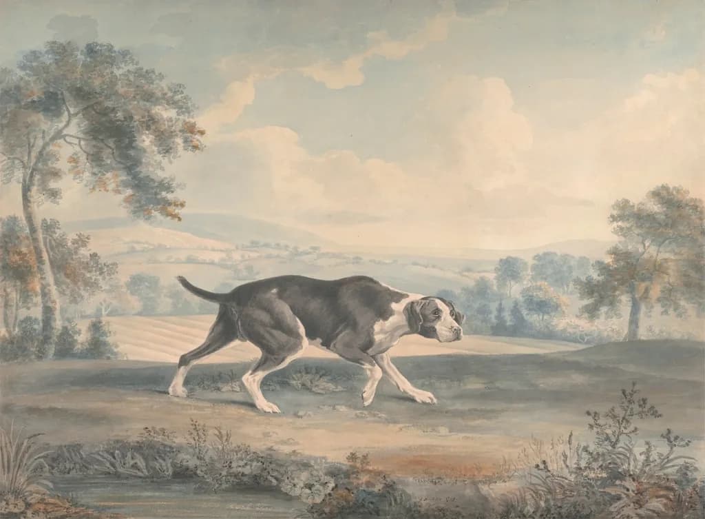 Pointer