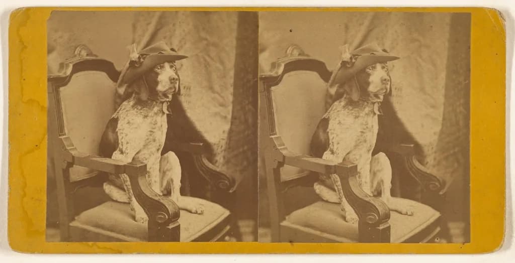 Pointer