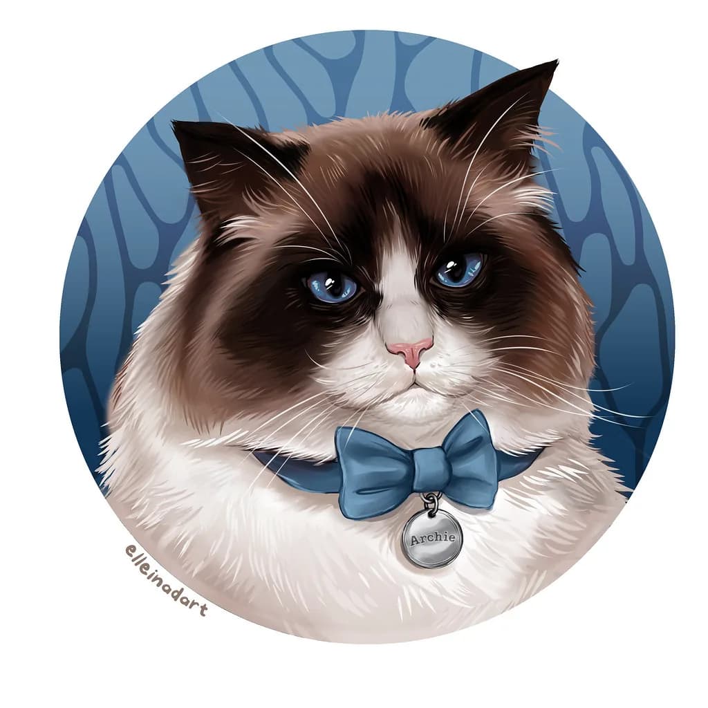 Ragdoll