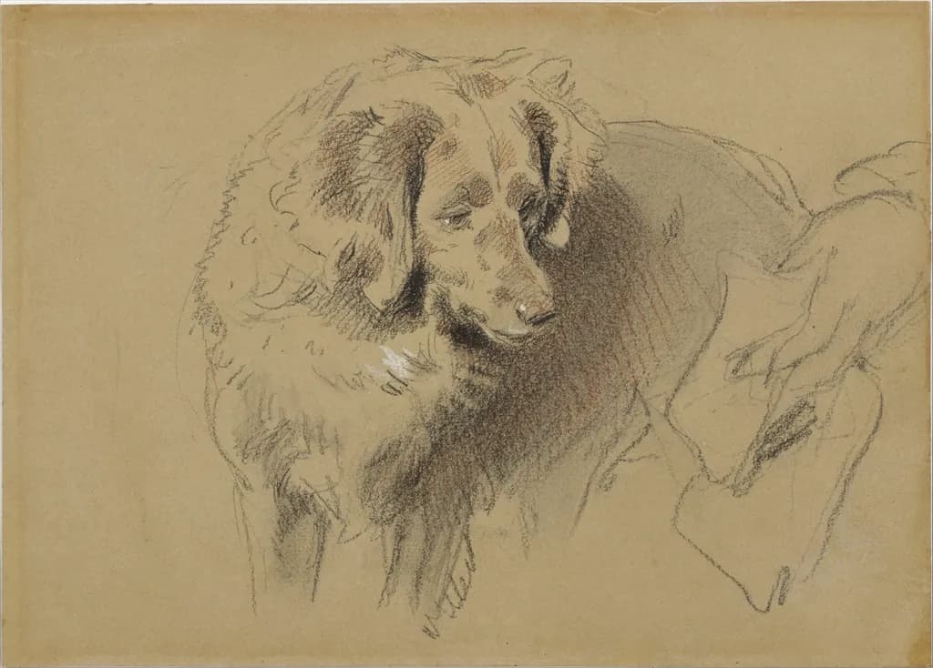 Landseer