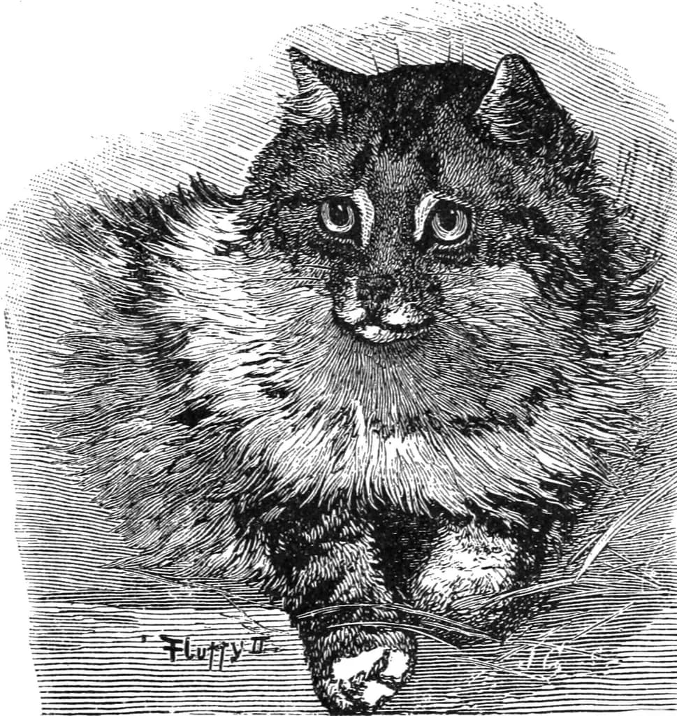 Persian