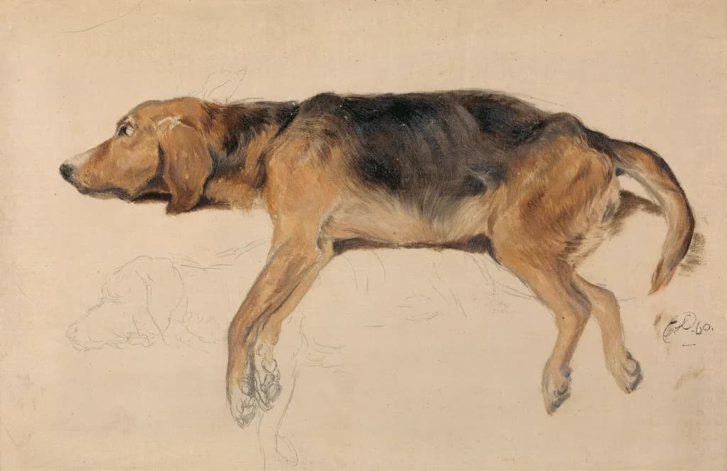 Landseer