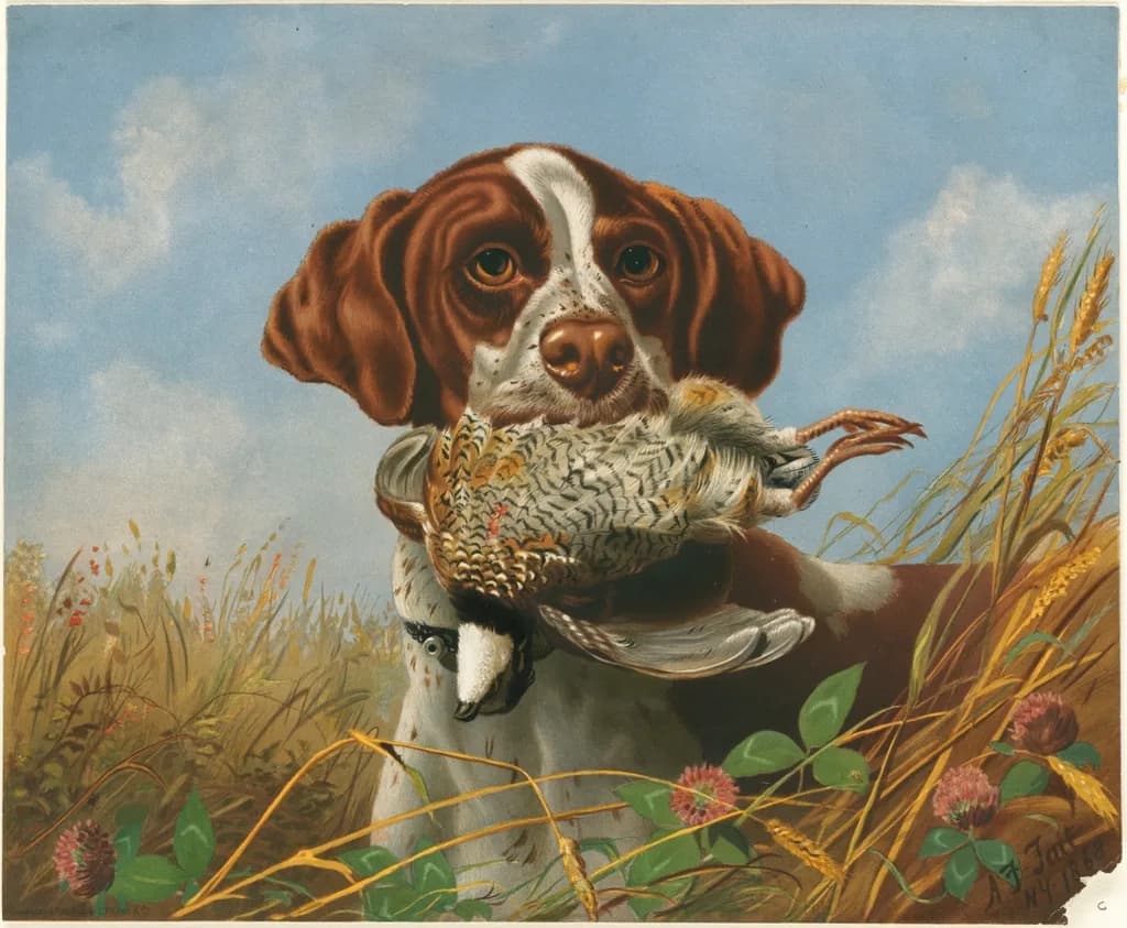 Pointer