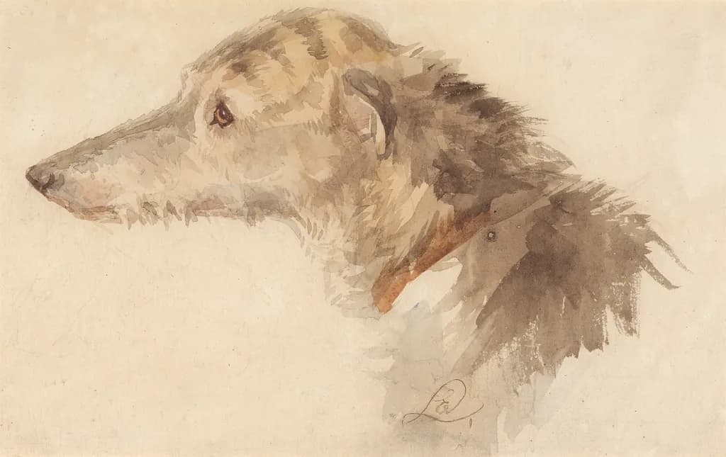 Irish Wolfhound