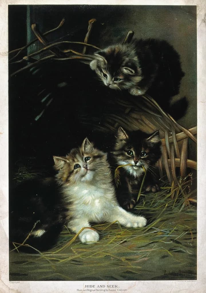 Norwegian Forest Cat