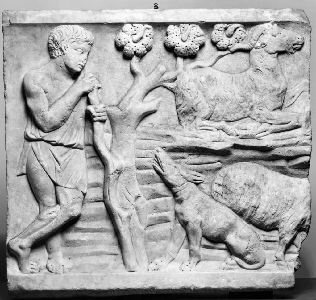 Greek Shepherd