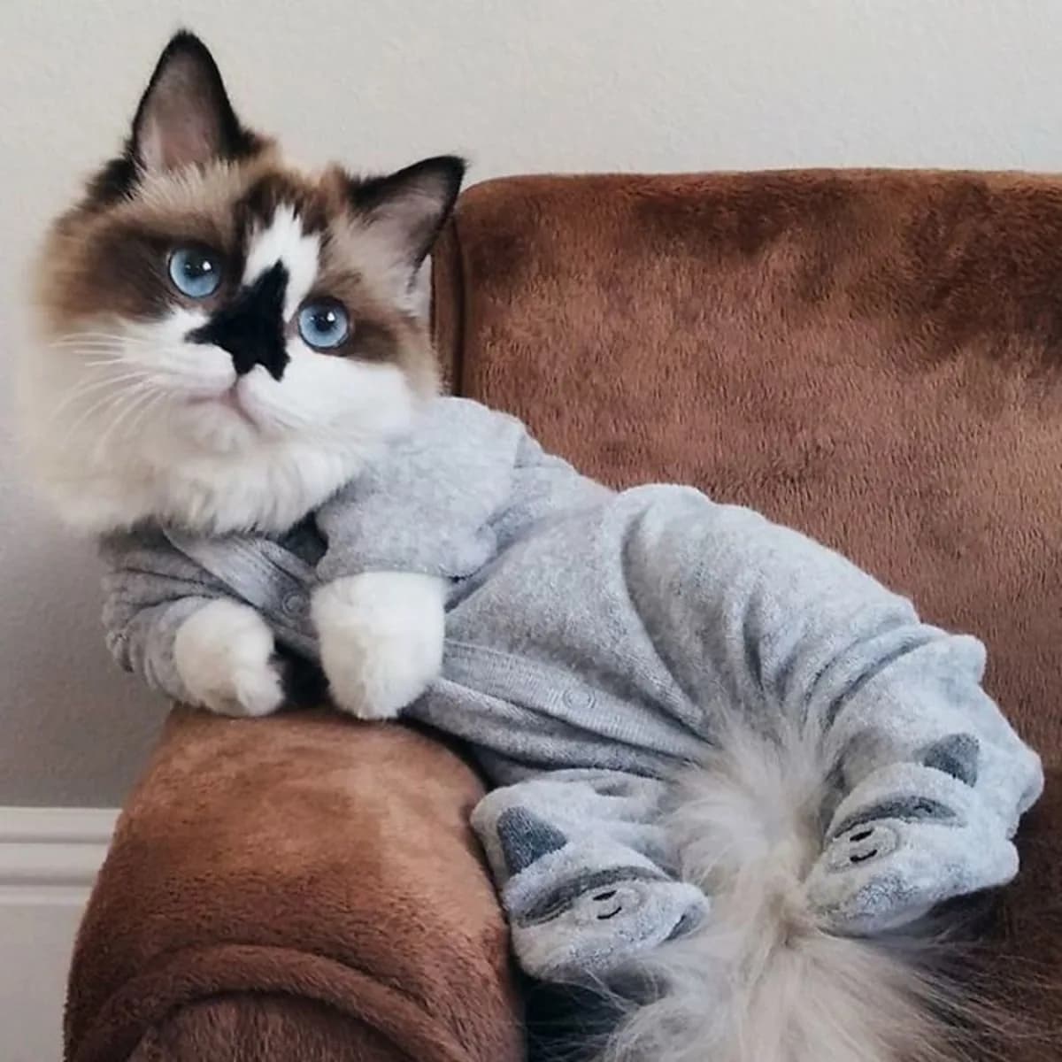 Munchkin