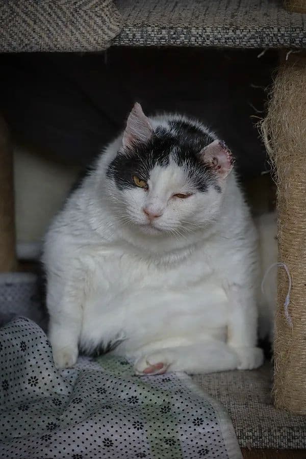 Dūkšta