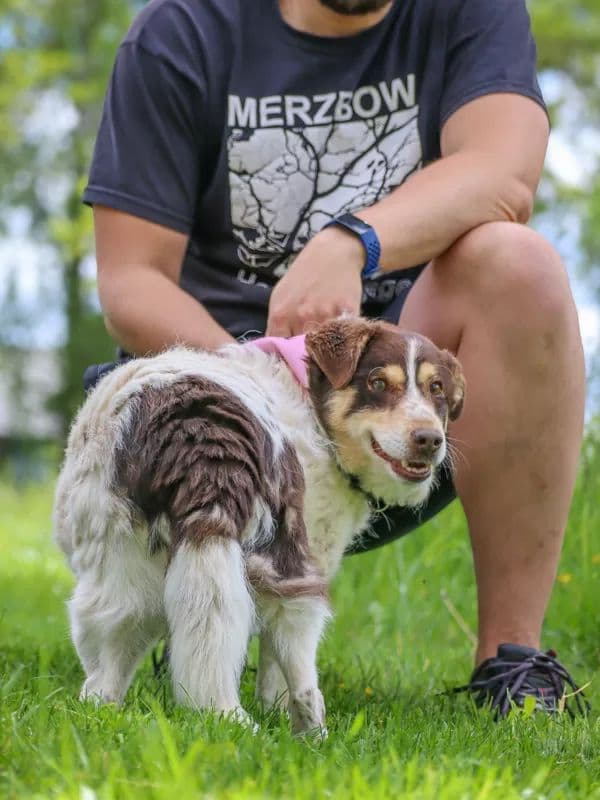 Kūčiukas