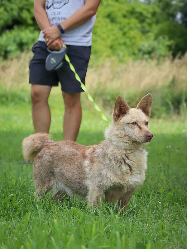 Rudukas