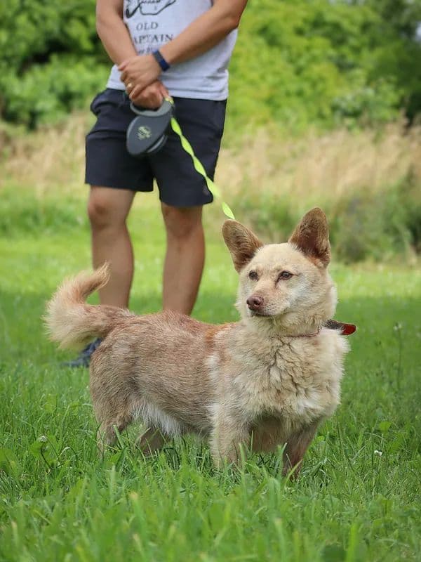 Rudukas