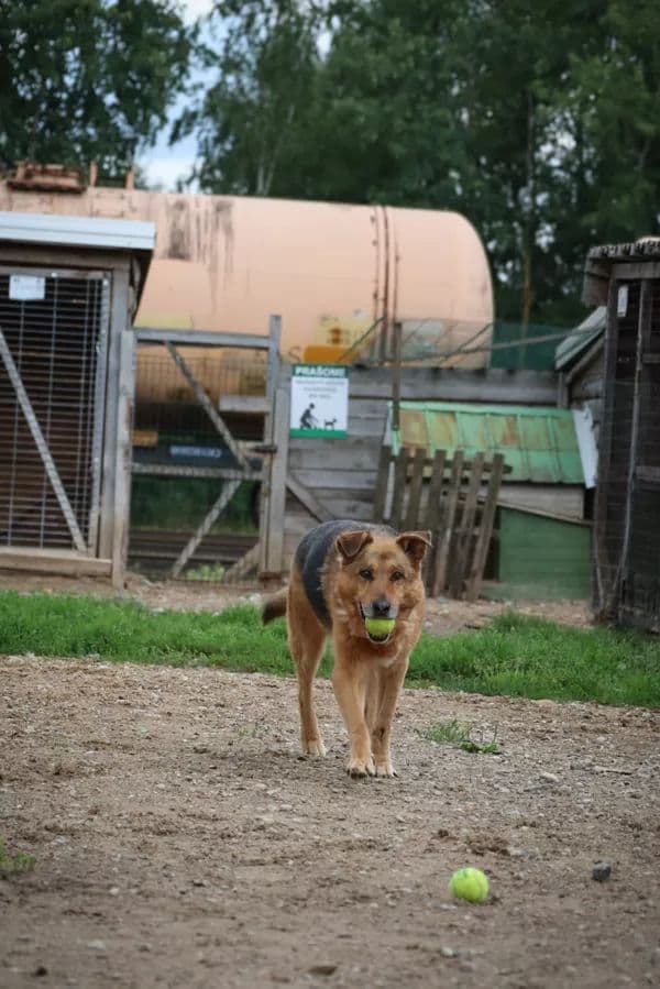 Bilbo