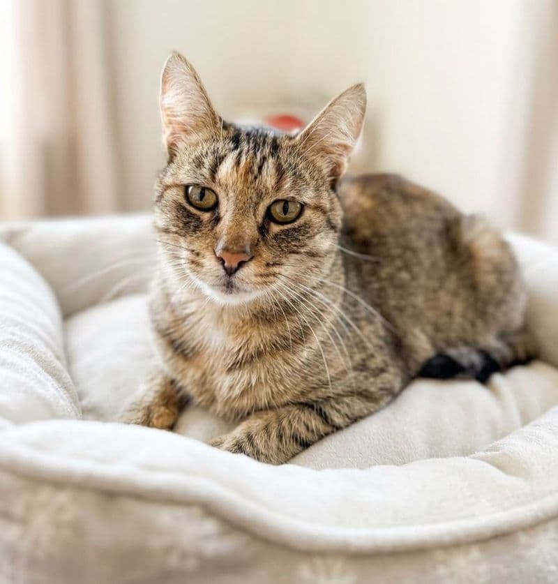 Tina
