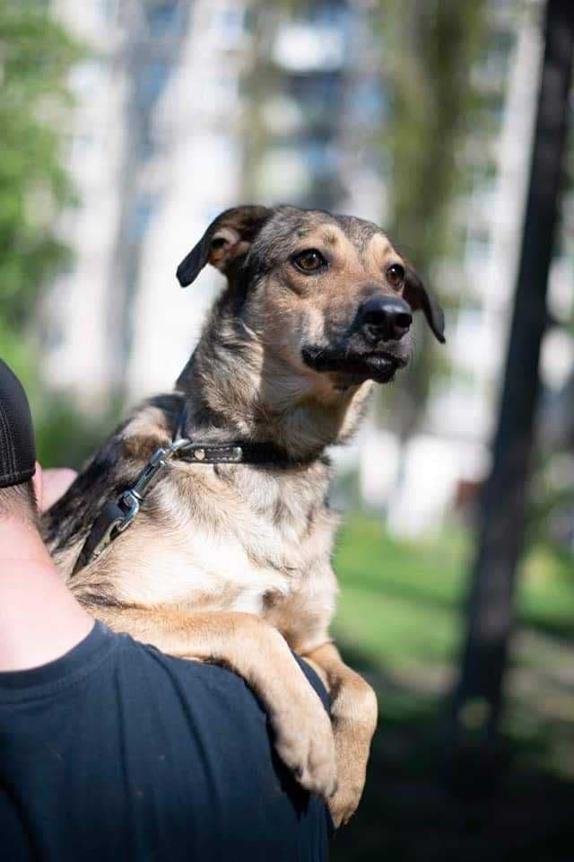 Lapa