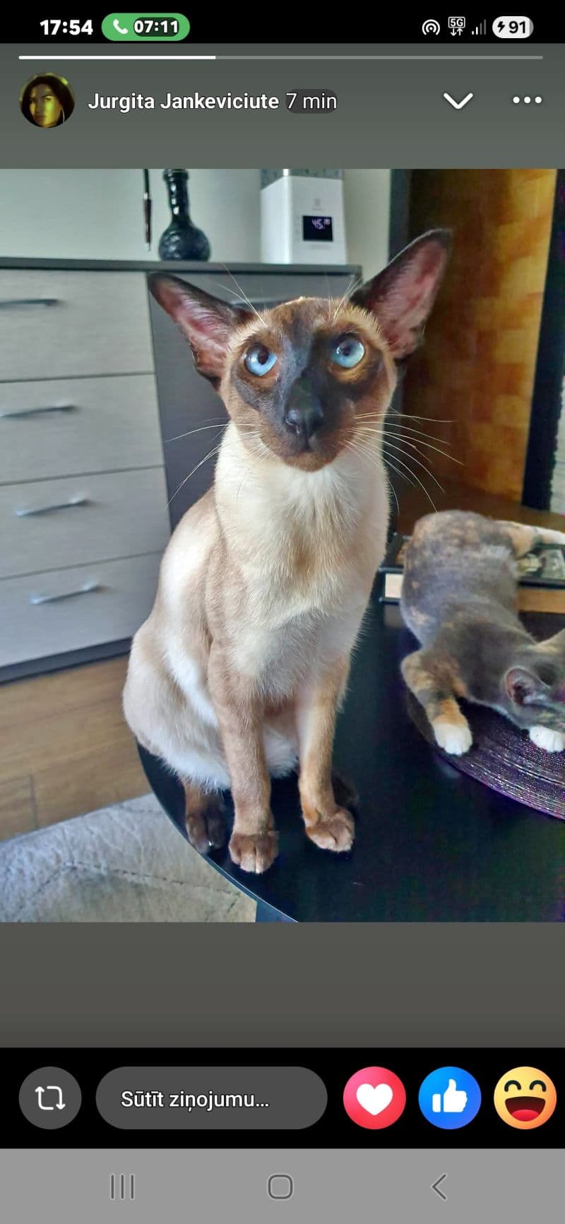 Katė