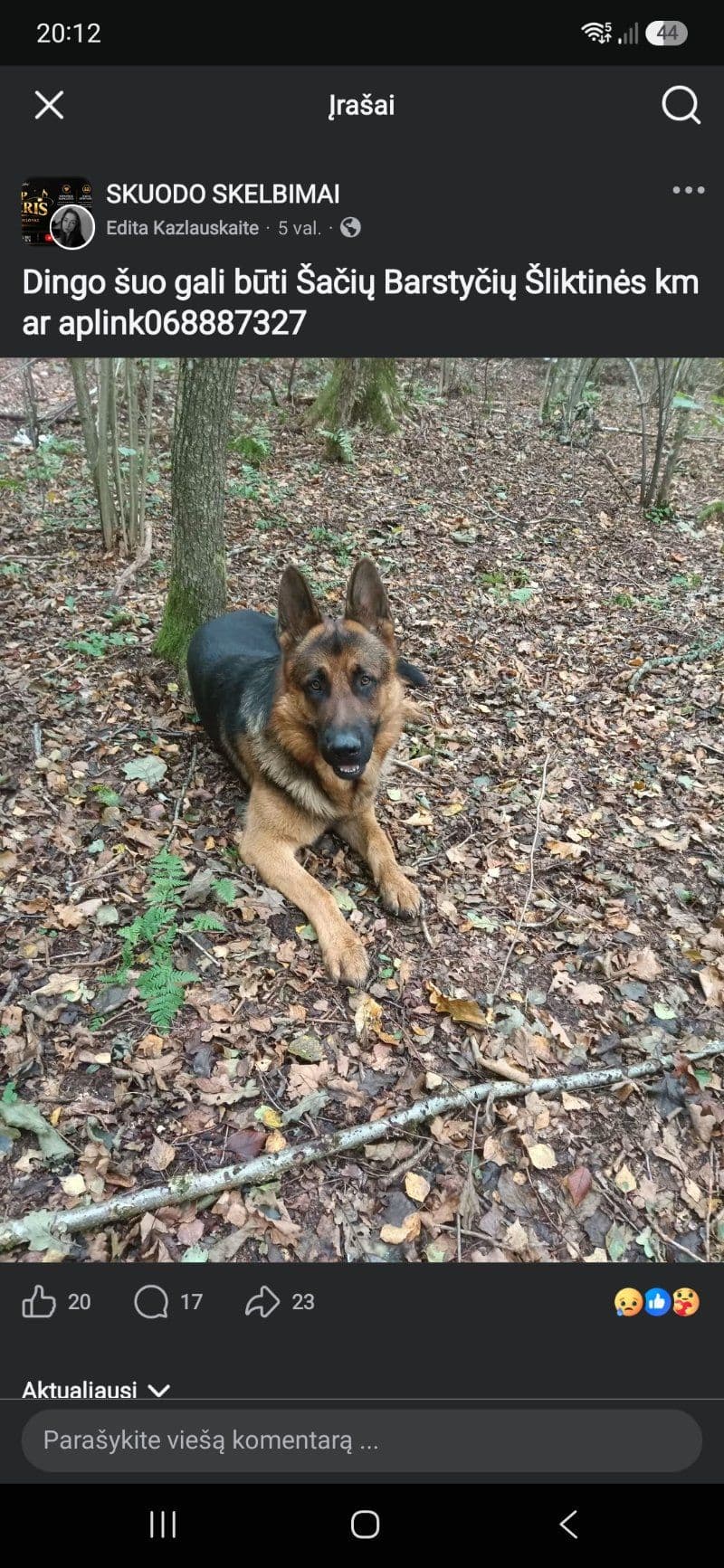 Taigo