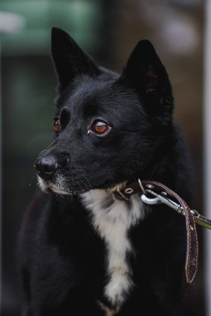 Pablo
