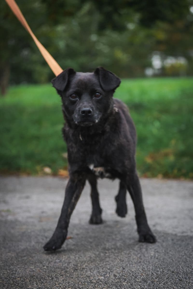 Guru
