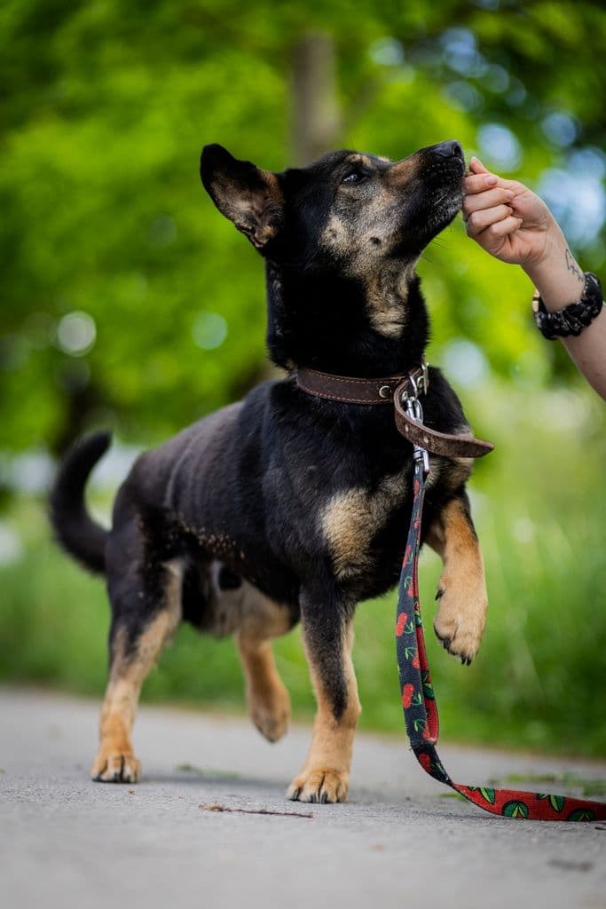 Valio