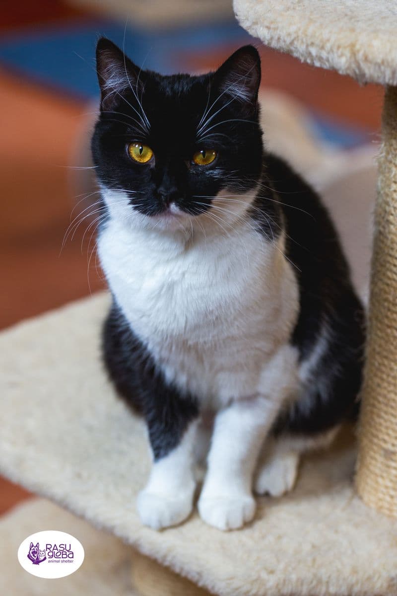 Luna