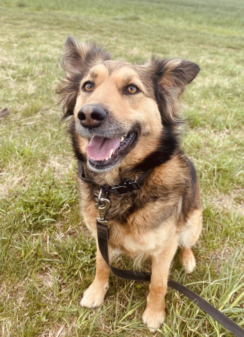Nora