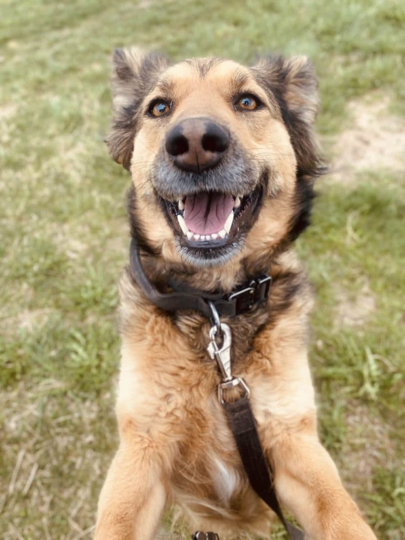 Nora