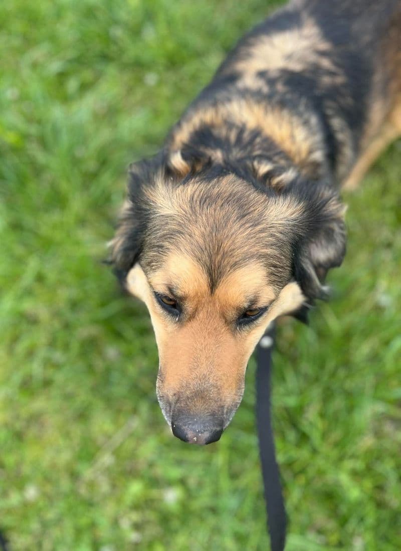 Nora