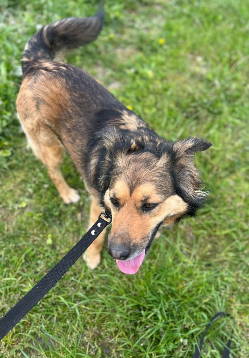 Nora